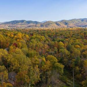 Photo #4 of 316 STONEY CREEK WEST, NELLYSFORD, VA 1.2 acres