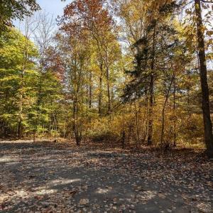 Photo #31 of 316 STONEY CREEK WEST, NELLYSFORD, VA 1.2 acres