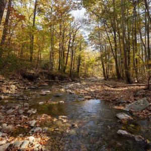Photo #25 of 316 STONEY CREEK WEST, NELLYSFORD, VA 1.2 acres
