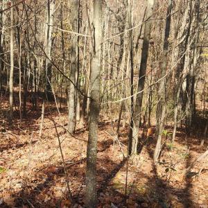 Photo #11 of 46 & 58 HOWDYSHELL LN, SWOOPE, VA 6.7 acres