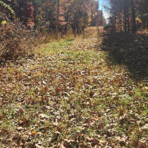 Photo #16 of 46 & 58 HOWDYSHELL LN, SWOOPE, VA 6.7 acres