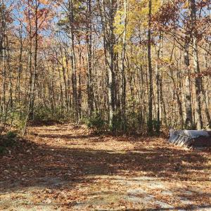Photo #6 of 46 & 58 HOWDYSHELL LN, SWOOPE, VA 6.7 acres