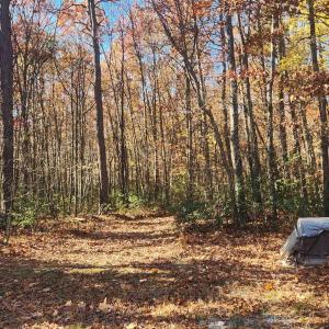 Photo #3 of 46 & 58 HOWDYSHELL LN, SWOOPE, VA 6.7 acres