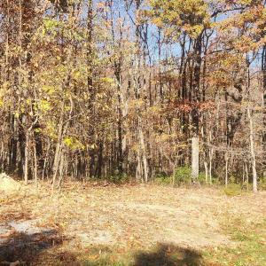 Photo #4 of 46 & 58 HOWDYSHELL LN, SWOOPE, VA 6.7 acres