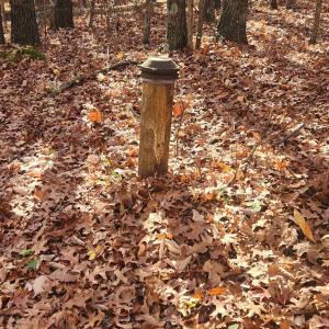 Photo #13 of 46 & 58 HOWDYSHELL LN, SWOOPE, VA 6.7 acres
