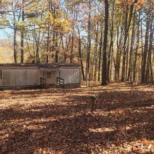 Photo #25 of 46 & 58 HOWDYSHELL LN, SWOOPE, VA 6.7 acres