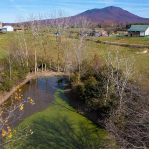 Photo #8 of TBD OAK SHADE RD, ROCKINGHAM, VA 28.2 acres