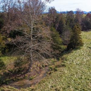Photo #10 of TBD OAK SHADE RD, ROCKINGHAM, VA 28.2 acres