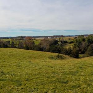 Photo #13 of TBD OAK SHADE RD, ROCKINGHAM, VA 28.2 acres
