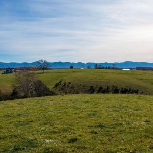 Photo #1 of TBD OAK SHADE RD, ROCKINGHAM, VA 28.2 acres