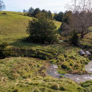 Photo #7 of TBD OAK SHADE RD, ROCKINGHAM, VA 28.2 acres