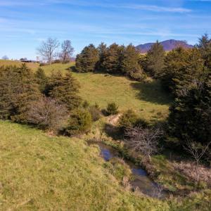Photo #6 of TBD OAK SHADE RD, ROCKINGHAM, VA 28.2 acres