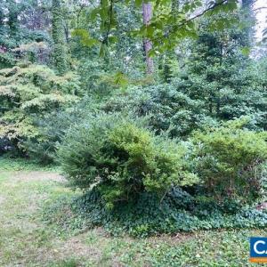 Photo #13 of 2029 SPOTTSWOOD RD, CHARLOTTESVILLE, VA 0.5 acres