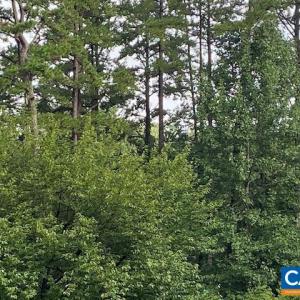 Photo #4 of 2029 SPOTTSWOOD RD, CHARLOTTESVILLE, VA 0.5 acres