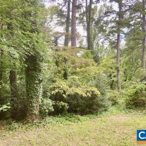 Photo #12 of 2029 SPOTTSWOOD RD, CHARLOTTESVILLE, VA 0.5 acres