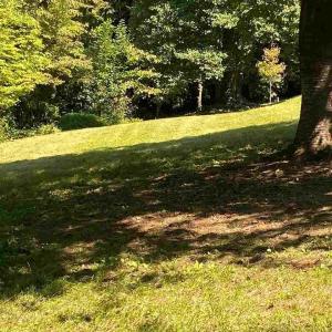 Photo #16 of 2029 SPOTTSWOOD RD, CHARLOTTESVILLE, VA 0.5 acres