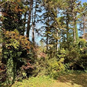 Photo #2 of 2029 SPOTTSWOOD RD, CHARLOTTESVILLE, VA 0.5 acres