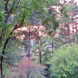 Photo #17 of 2029 SPOTTSWOOD RD, CHARLOTTESVILLE, VA 0.5 acres