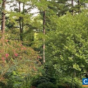 Photo #14 of 2029 SPOTTSWOOD RD, CHARLOTTESVILLE, VA 0.5 acres