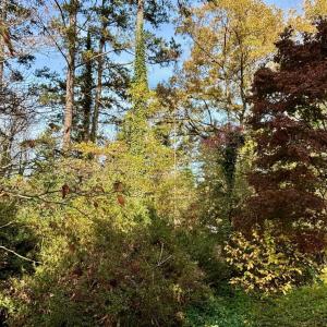Photo #3 of 2029 SPOTTSWOOD RD, CHARLOTTESVILLE, VA 0.5 acres