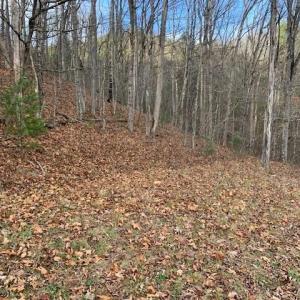 Photo #5 of TBD LOWER BACK CREEK RD, MONTEREY, VA 26.3 acres