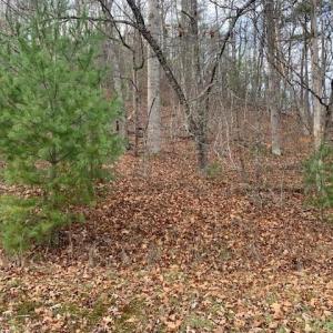 Photo #4 of TBD LOWER BACK CREEK RD, MONTEREY, VA 26.3 acres
