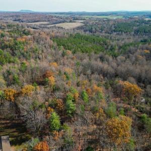 Photo #20 of TBD SEVILLE RD, ROCHELLE, VA 3.0 acres