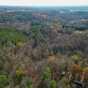 Photo #18 of TBD SEVILLE RD, ROCHELLE, VA 3.0 acres