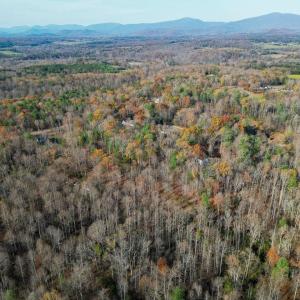 Photo #13 of TBD SEVILLE RD, ROCHELLE, VA 3.0 acres