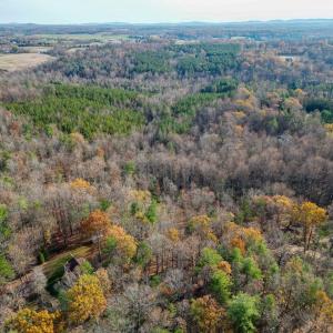 Photo #19 of TBD SEVILLE RD, ROCHELLE, VA 3.0 acres