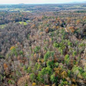 Photo #15 of TBD SEVILLE RD, ROCHELLE, VA 3.0 acres