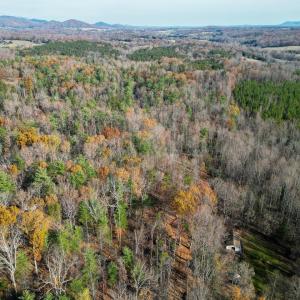 Photo #21 of TBD SEVILLE RD, ROCHELLE, VA 3.0 acres