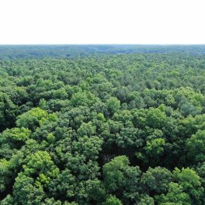 Photo #2 of 0-B WARE CREEK RD, WILLIAMSBURG, VA 2,317.0 acres