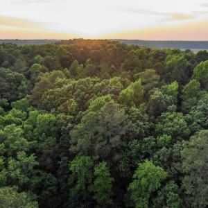Photo #5 of 0-B WARE CREEK RD, WILLIAMSBURG, VA 2,317.0 acres