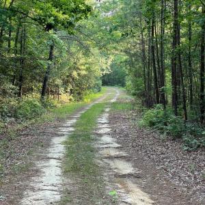 Photo #4 of 0-B WARE CREEK RD, WILLIAMSBURG, VA 2,317.0 acres