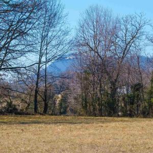 Photo #11 of TBD SPOTSWOOD TRL, ELKTON, VA 11.0 acres
