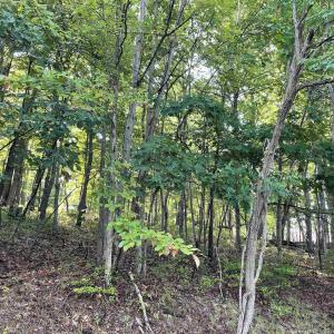 Photo #1 of CHINQUAPIN DR, LYNDHURST, VA 2.9 acres