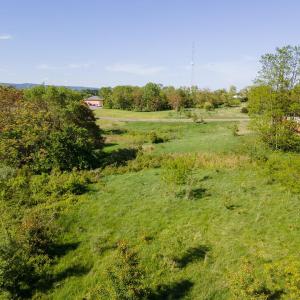 Photo #6 of KINGREE ST, WOODSTOCK, VA 2.7 acres