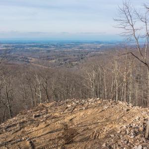 Photo #8 of Lot 12 FOX RUN LN, WAYNESBORO, VA 7.4 acres