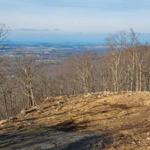 Photo #4 of Lot 12 FOX RUN LN, WAYNESBORO, VA 7.4 acres
