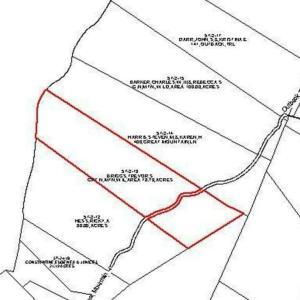 Photo #3 of none GREAT NORTH MOUNTAIN DR, WINCHESTER, VA 78.8 acres