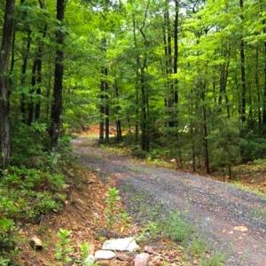 Photo #1 of none GREAT NORTH MOUNTAIN DR, WINCHESTER, VA 78.8 acres