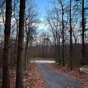 Photo #5 of none GREAT NORTH MOUNTAIN DR, WINCHESTER, VA 78.8 acres