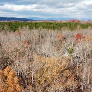 Photo #1 of GILBERT STATION RD, BARBOURSVILLE, VA 9.5 acres