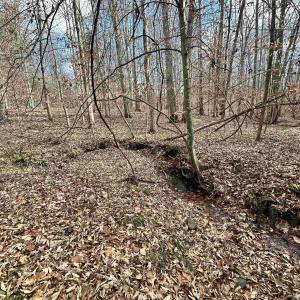 Photo #12 of GILBERT STATION RD, BARBOURSVILLE, VA 9.5 acres