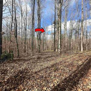 Photo #11 of GILBERT STATION RD, BARBOURSVILLE, VA 9.5 acres