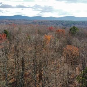 Photo #19 of GILBERT STATION RD, BARBOURSVILLE, VA 9.5 acres