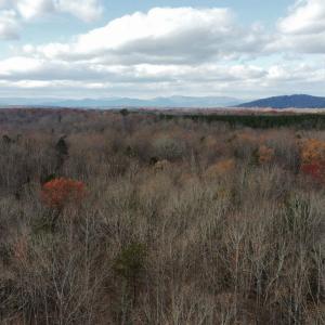 Photo #8 of GILBERT STATION RD, BARBOURSVILLE, VA 9.5 acres
