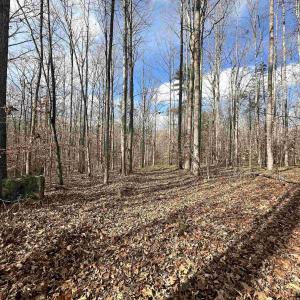 Photo #10 of GILBERT STATION RD, BARBOURSVILLE, VA 9.5 acres