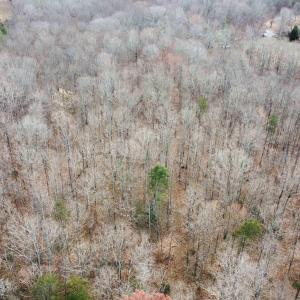 Photo #15 of GILBERT STATION RD, BARBOURSVILLE, VA 9.5 acres